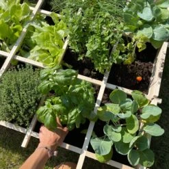 Carré Potager En Bois 90 X 90cm -ME Soldes VG90 05